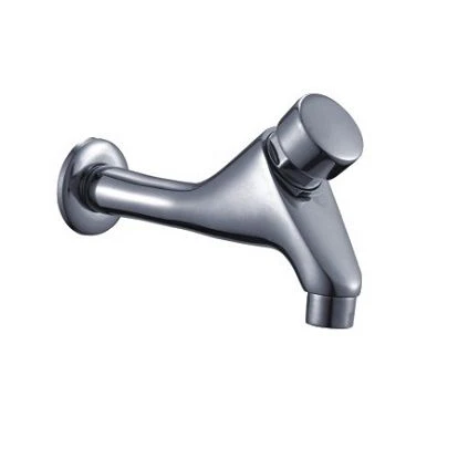Self-closing Wall Mounted Faucet