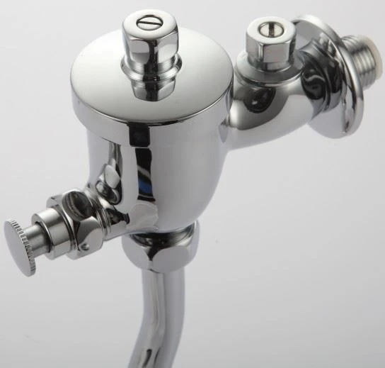 Adjust Time Delay Push Self-closing Urinal Flush Valve In Brass