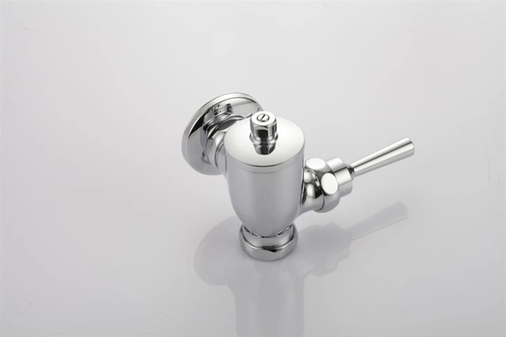 Commercial Toilet Flush Valve