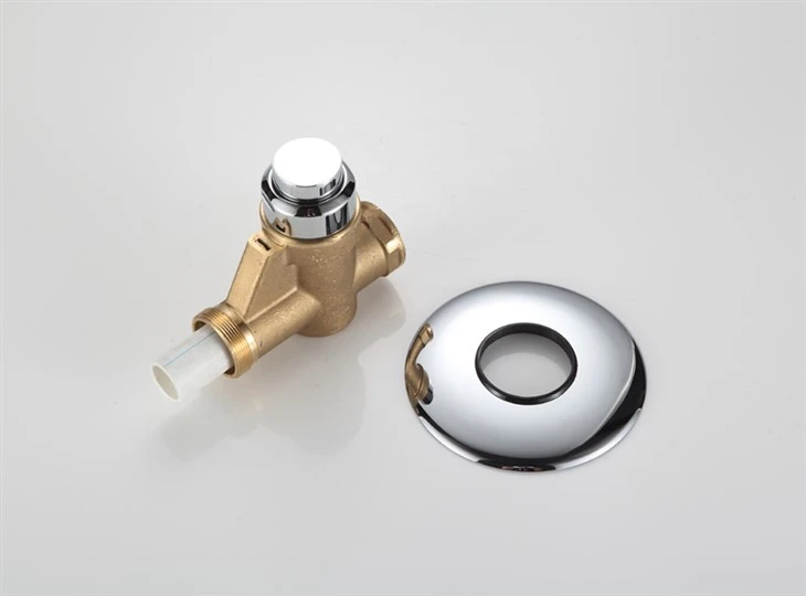 Concealed Flush Valve Toilet best