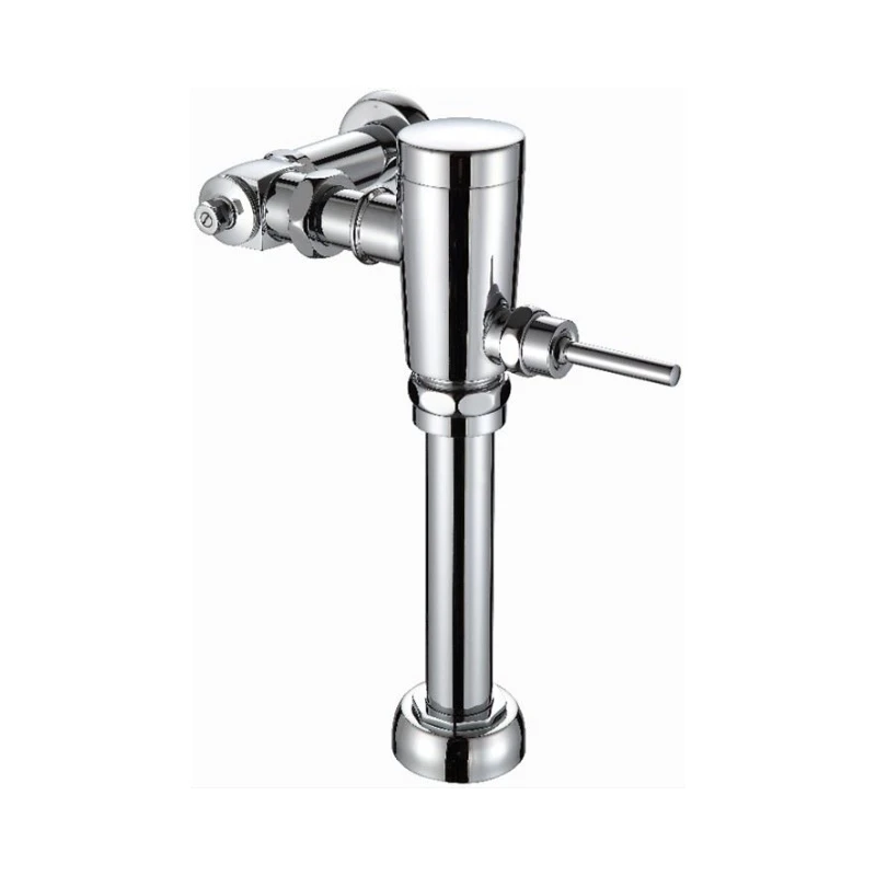 در معرض آب گنجه دستی توالت Flushometer