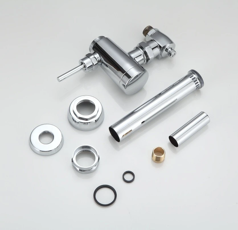 Flushometer Toilet